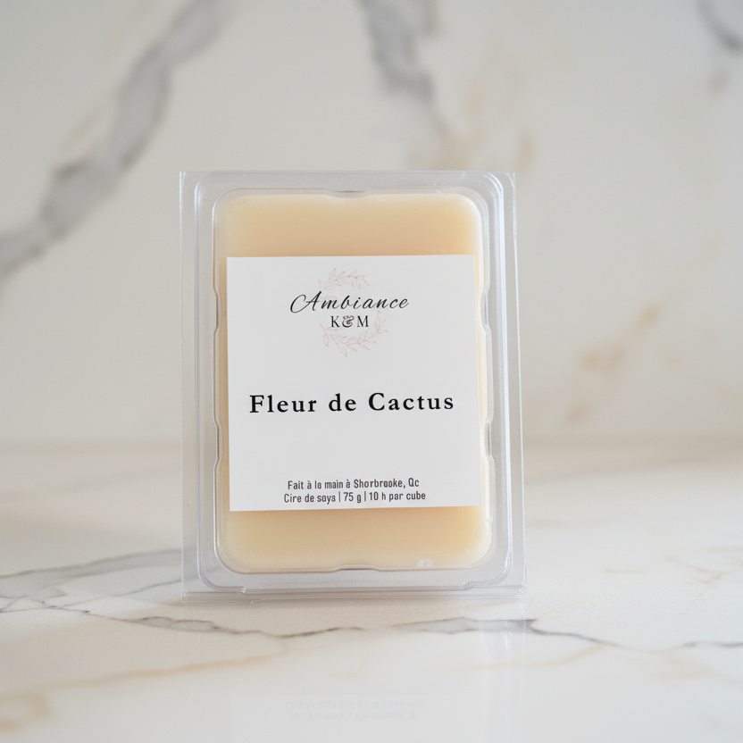 Cubes de cire - Fleur de Cactus